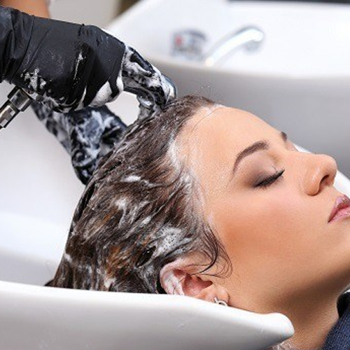 Moisture Boost Organic Hair Spa